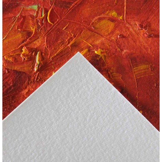 Canson Acrylic 400 GSM 10 SHEETS